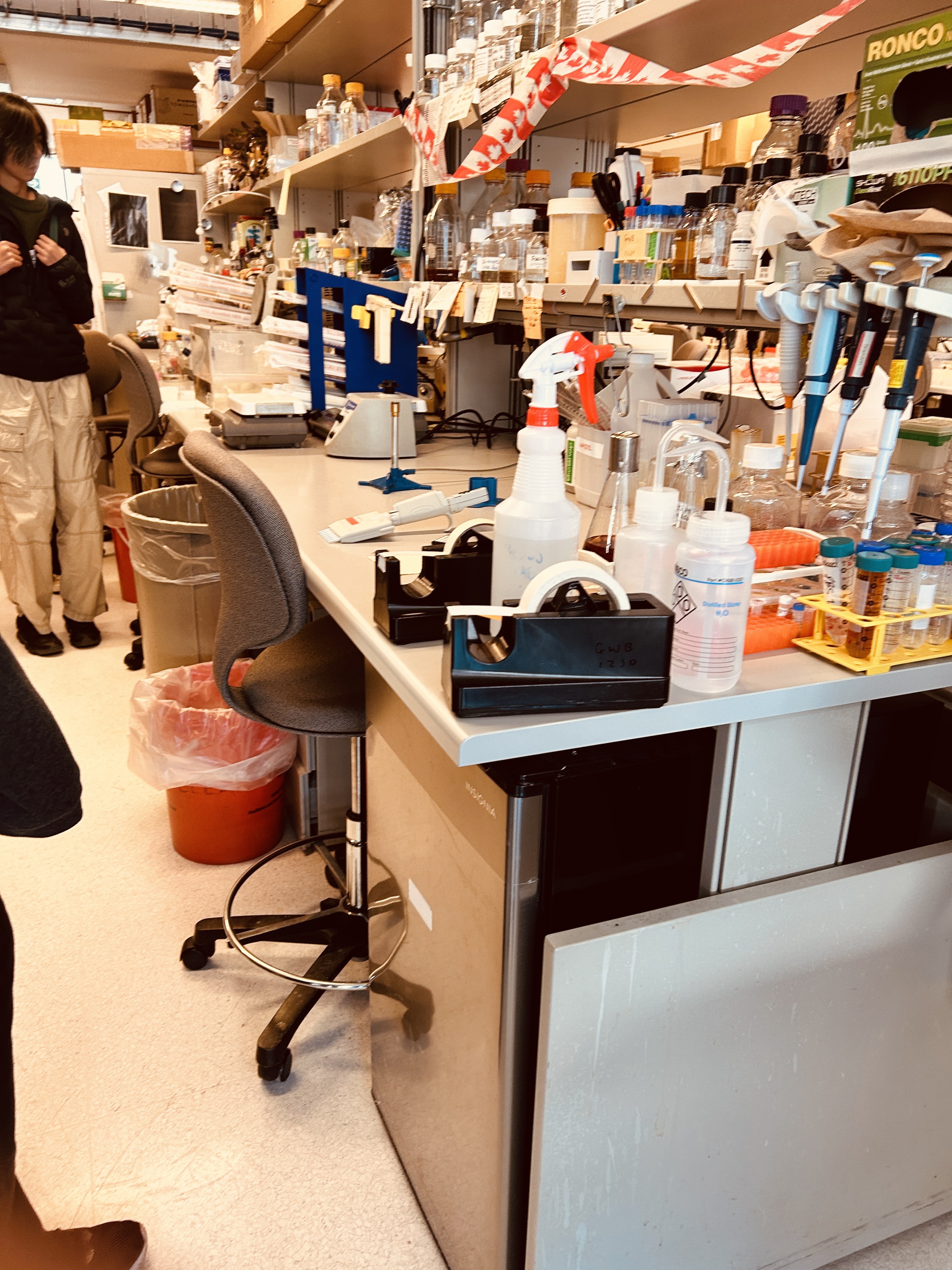 Exploring the World of Biochemistry at the University of Toronto - Image 5